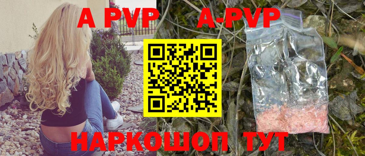 Альфа ПВП СК Сосновоборск