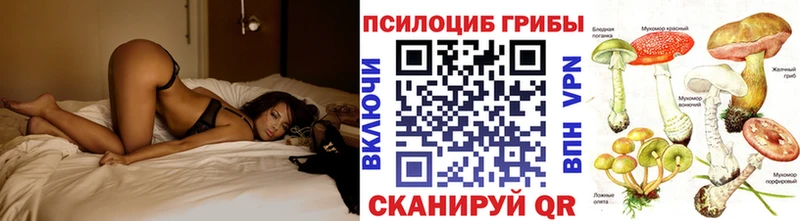 МЕГА как войти  наркотики  Сосновоборск  Псилоцибиновые грибы мухоморы 