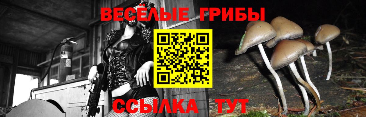Галлюциногенные грибы MAGIC MUSHROOMS Сосновоборск